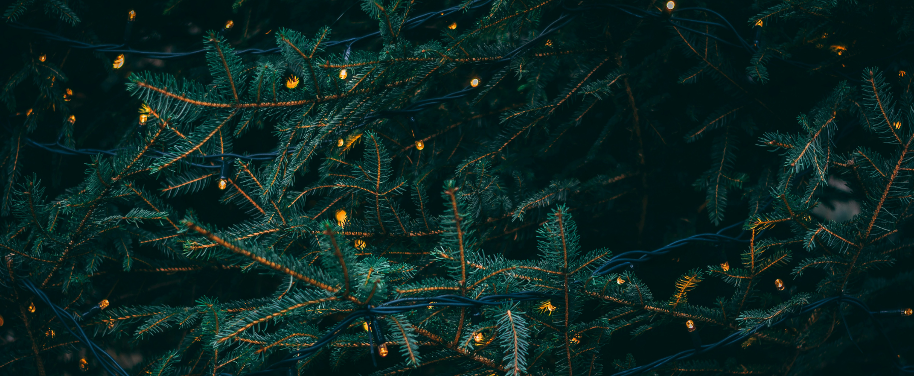 Conseils holistiques serenite noel ad CAELIA