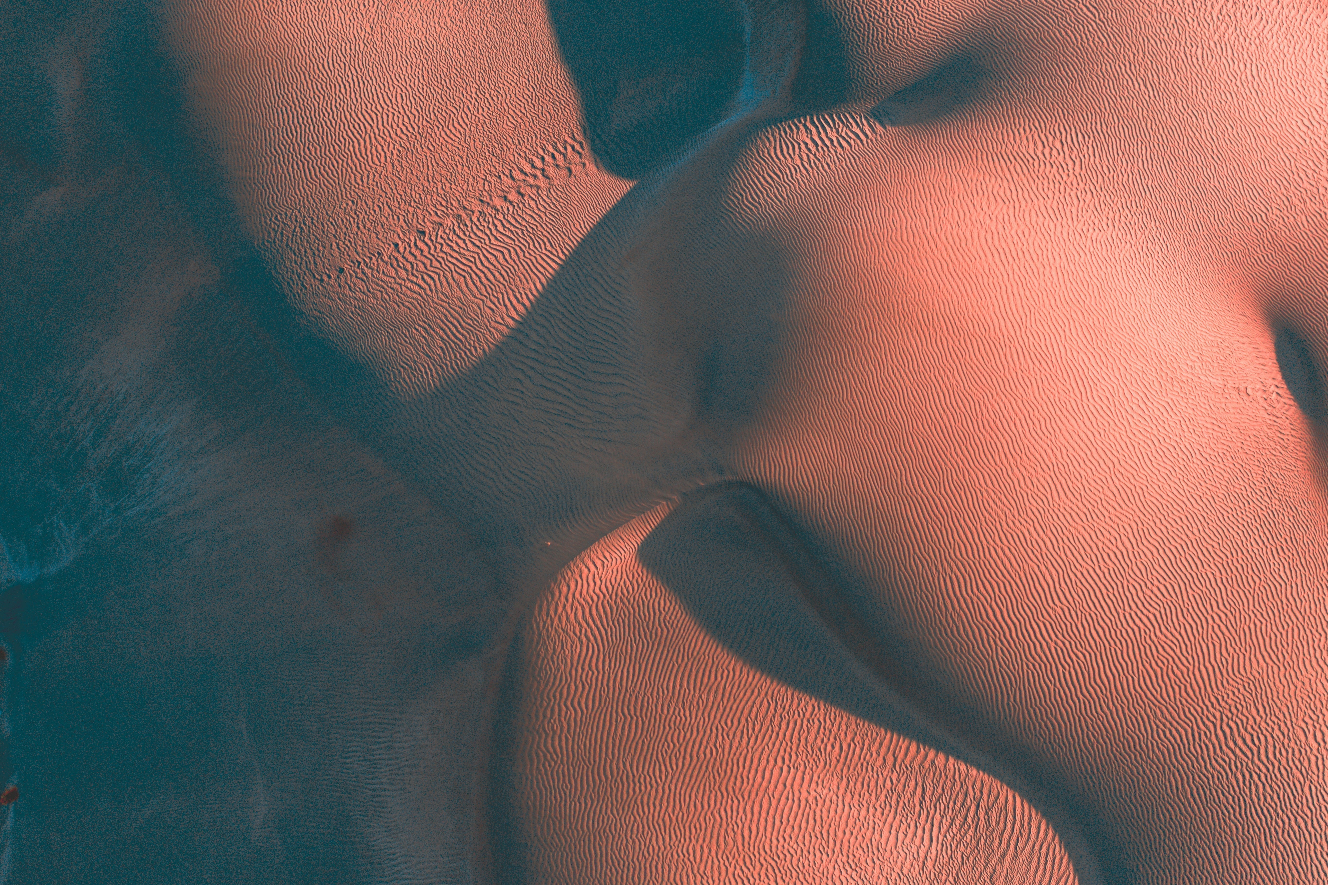 Microbiome cutané - Ad CAELIA