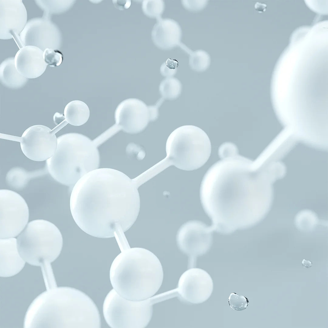 Céramides