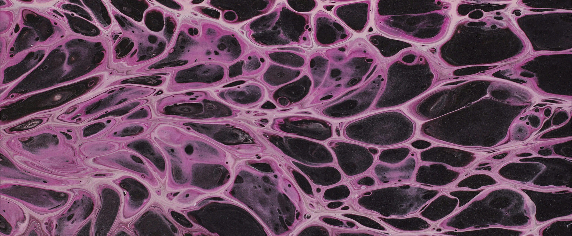 Collagène & santé de la peau :  les actifs qui font vraiment la différence