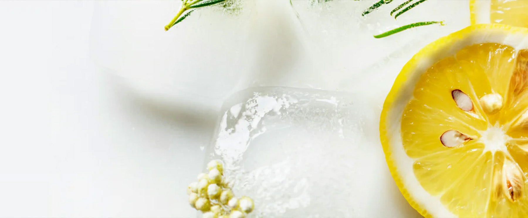 [PASSÉE] 10/2025 - Detox Week