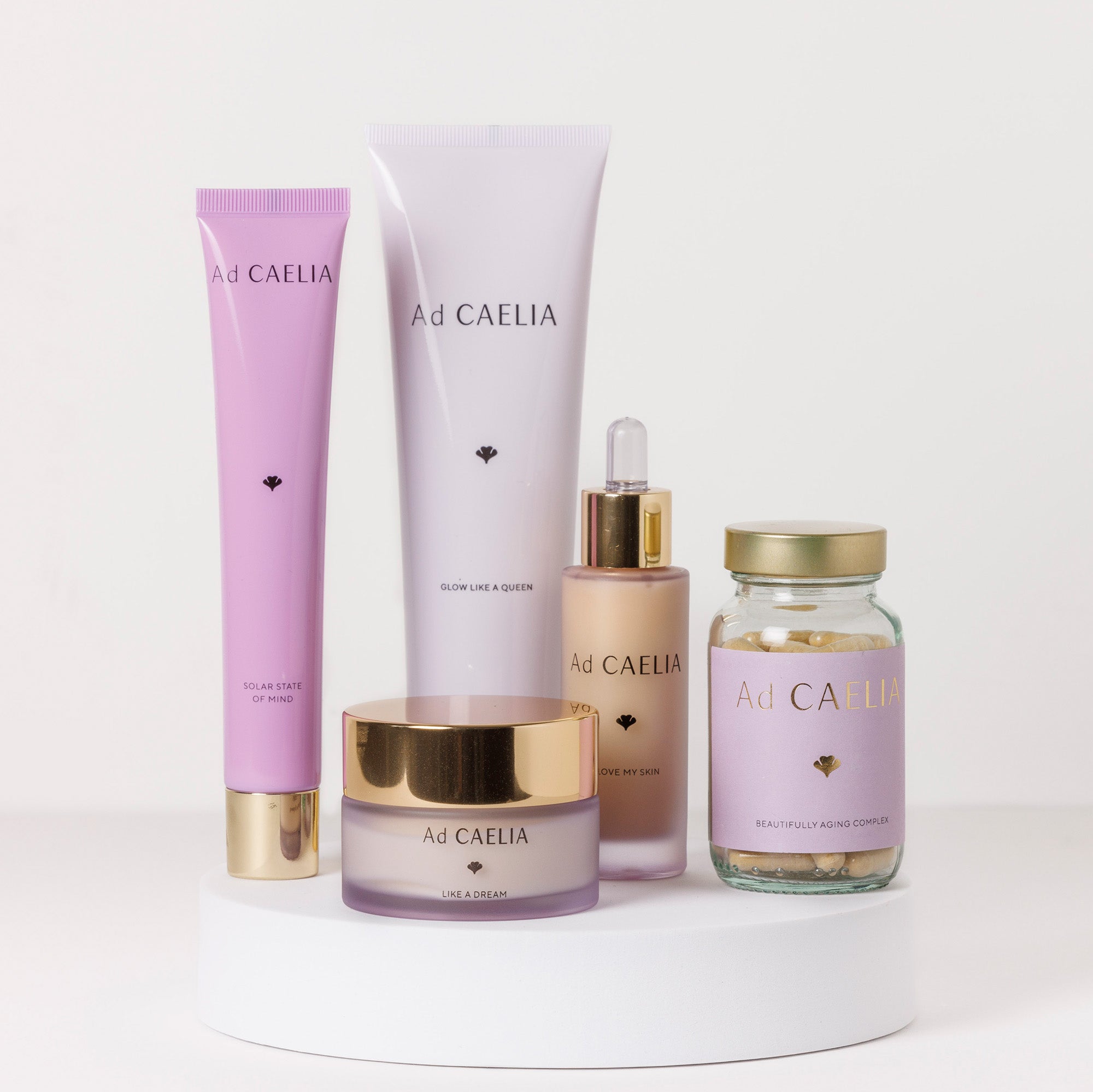 L’excellence holistique